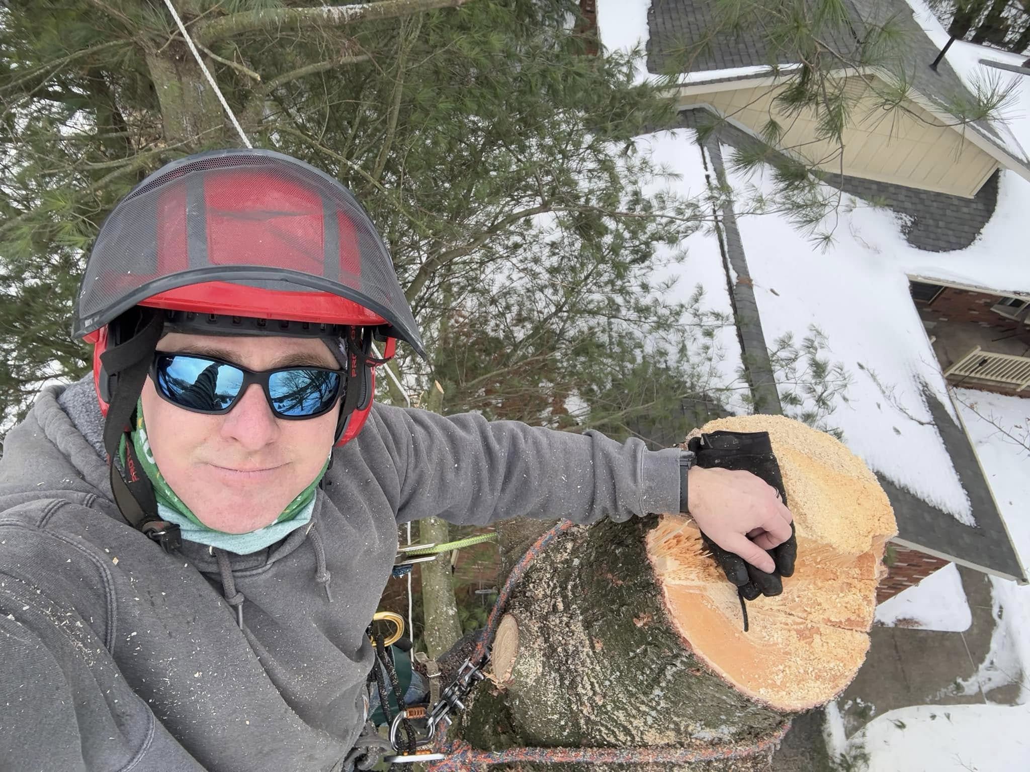 Professional tree trimming service